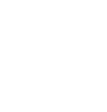 Bade Mali Müşavirlik